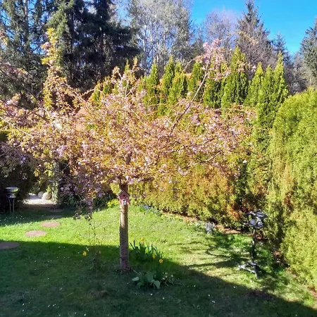 Nyaraló Steiner Spielberg Bei Knittelfeld