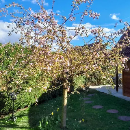 Holiday home Steiner